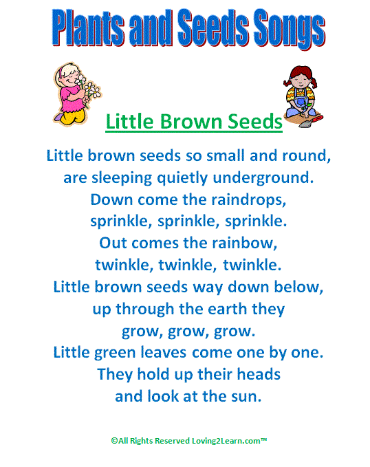 Plants and Seeds — Loving2Learn